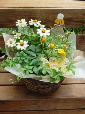 Flower Gift